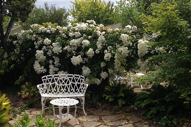 Digging Deeper: Thematic Garden Planning with Tom Karwin